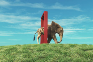 Giraffe goes through a door and becomes an elephant